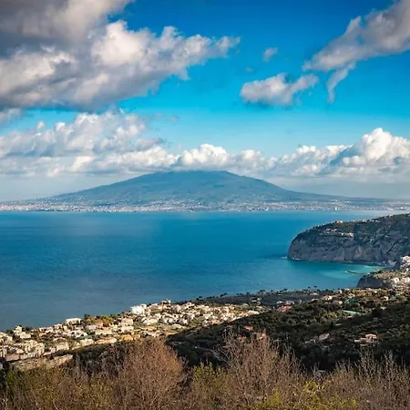 Blue Dream Sorrento